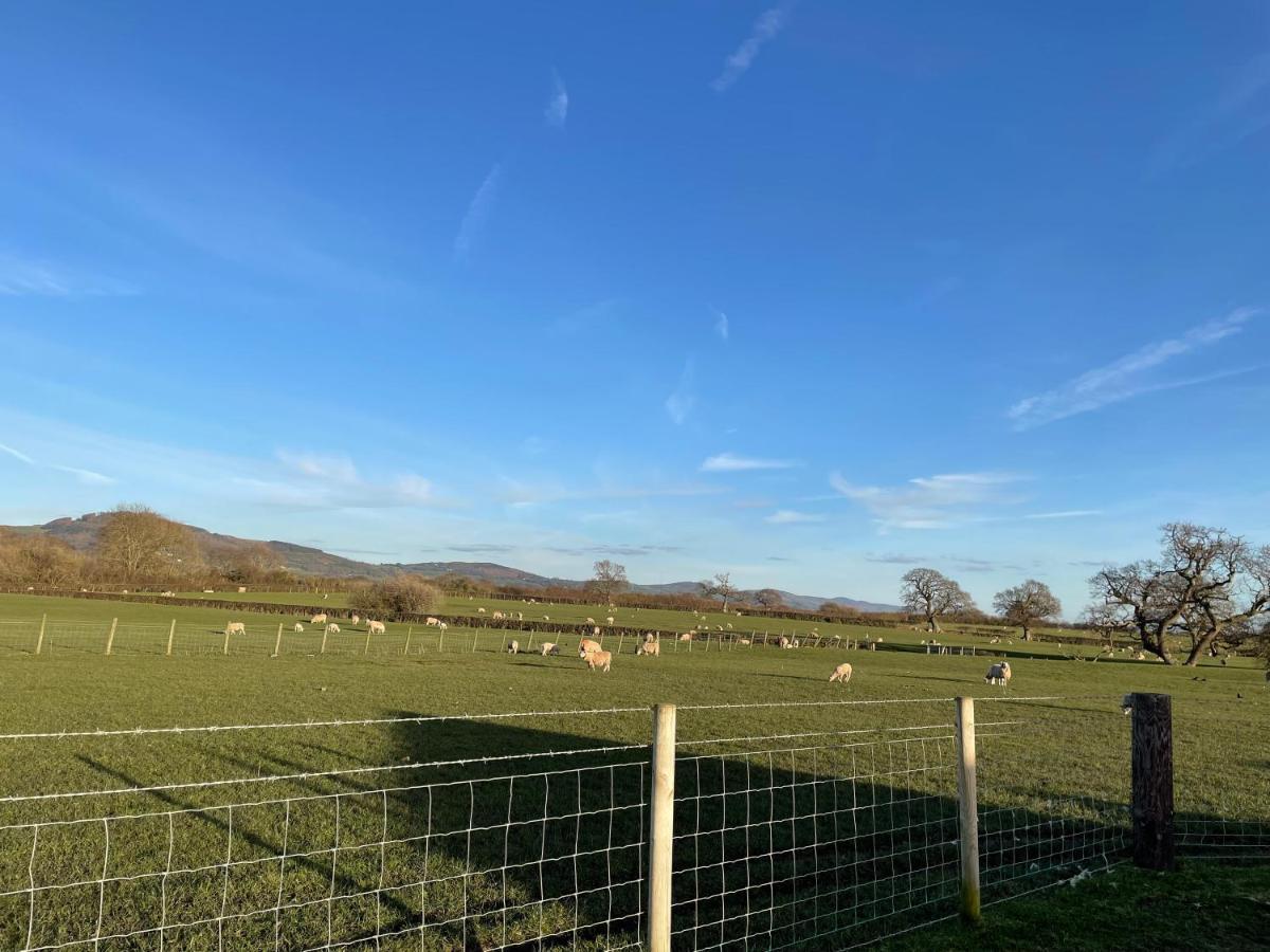 Abbey Farm Luxury Glamping Hotel Rhuddlan Exterior photo