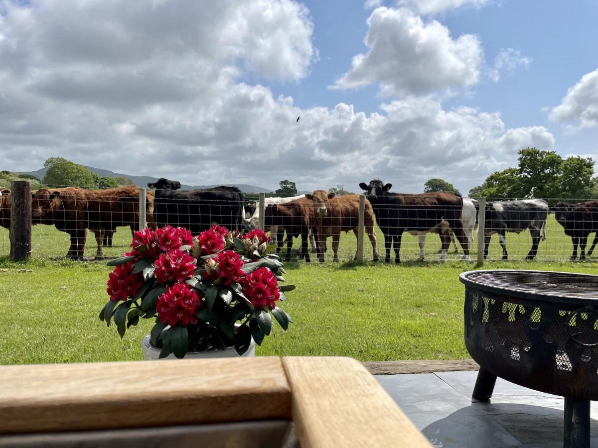 Abbey Farm Luxury Glamping Hotel Rhuddlan Exterior photo